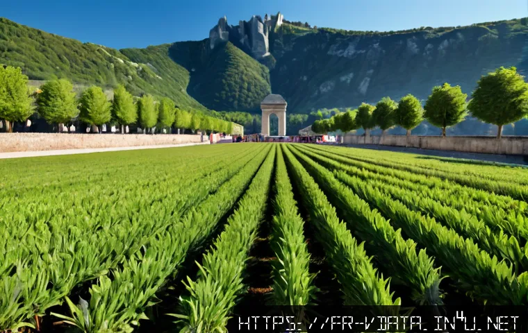 빅데이터 분석가 커뮤니티 추천 관련 이미지 2